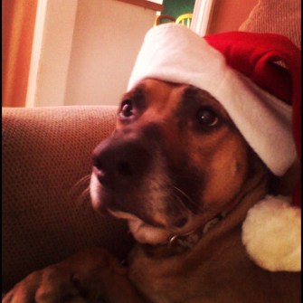 63093_10200127805146262_1318765665_n